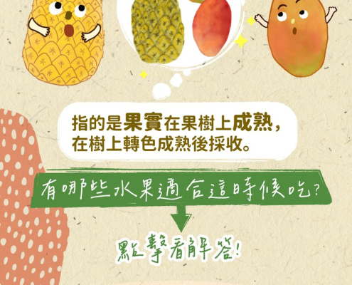 知道在欉紅跟在欉黃是什麼嗎？