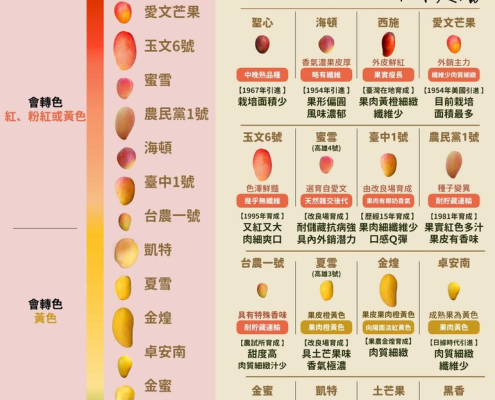 芒果達人非你莫屬！